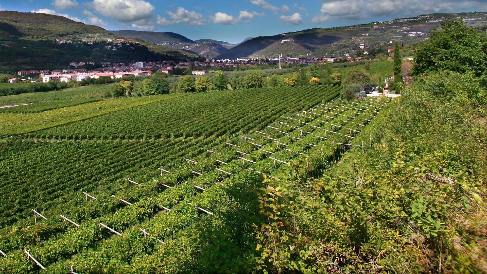 Corte L'Ovo - Country House 15 Minutes From The Heart Of Verona Греццана Вилла